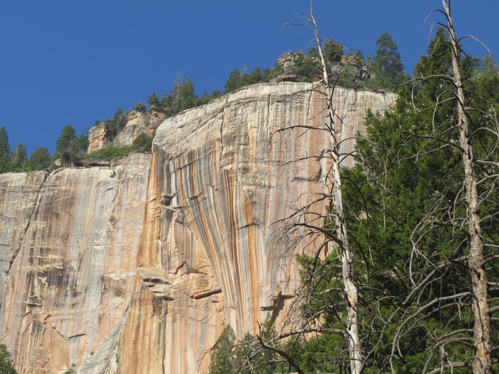 Canon PowerShot SX50 HS sample photo. Grand canyon, north rim photography