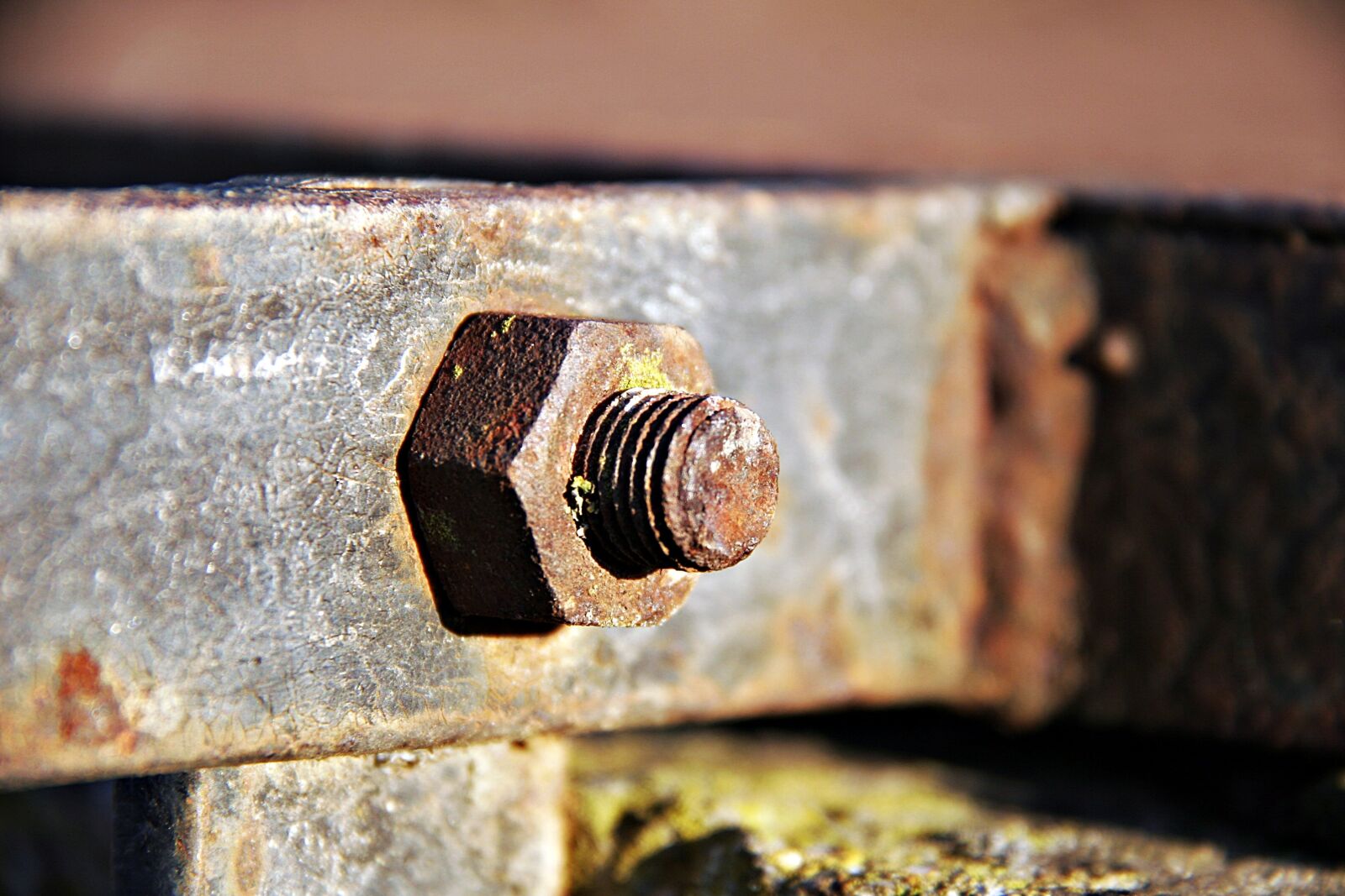 Canon EOS 20D sample photo. Iron, rusty, thread photography