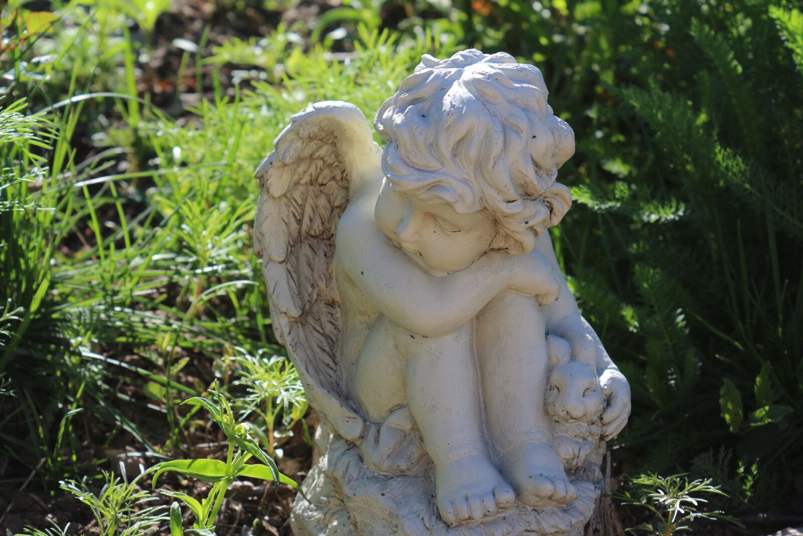 Canon EOS 650D (EOS Rebel T4i / EOS Kiss X6i) sample photo. Angel, garden, summer photography