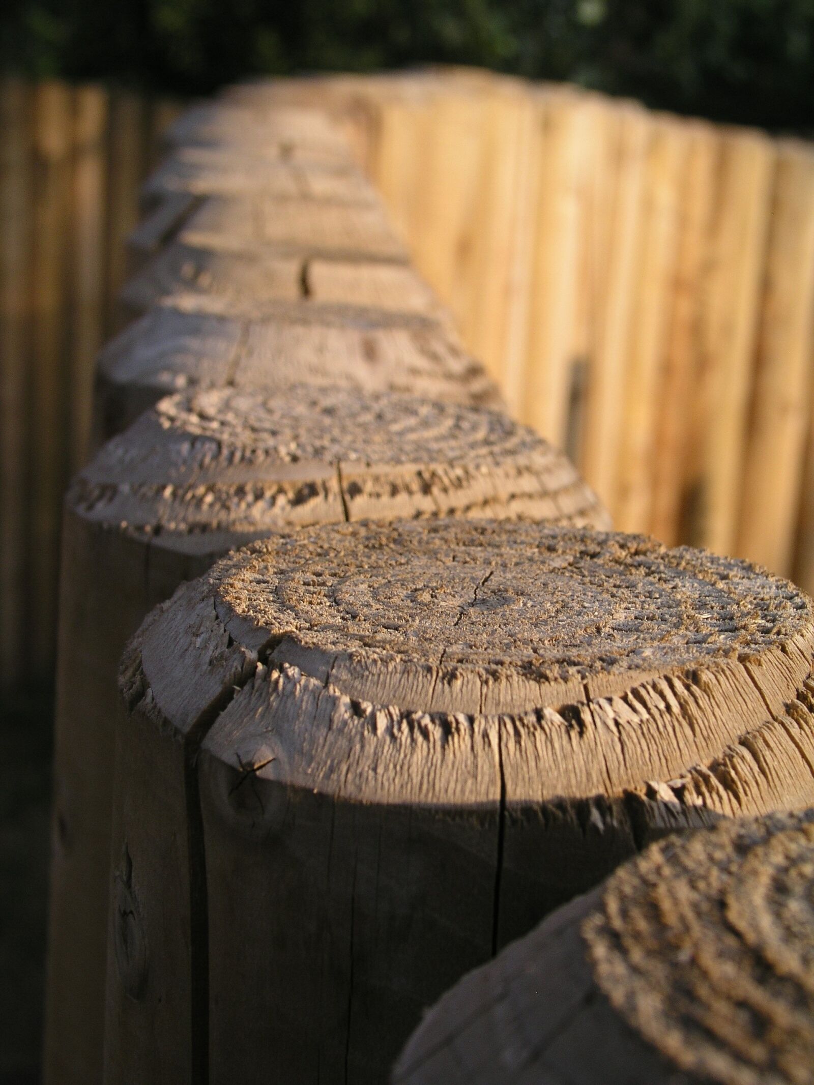 Olympus C5050Z sample photo. Wood, fence, texture photography