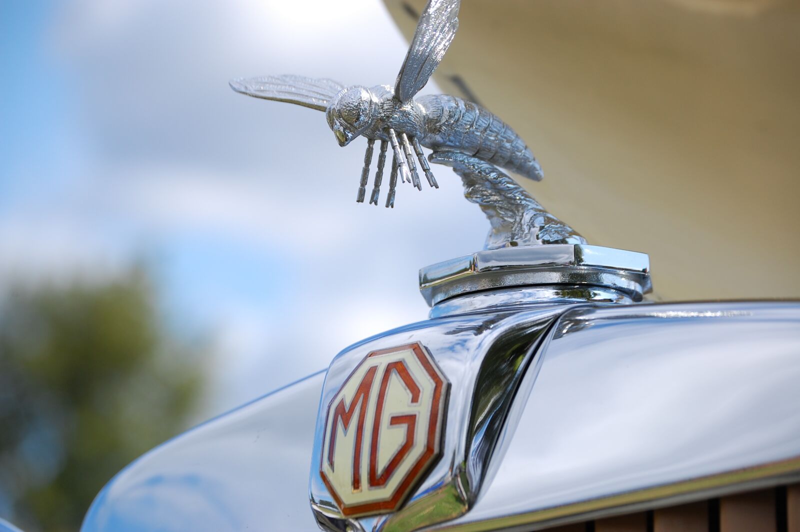 Nikon D40 sample photo. Mg, hornet, car photography