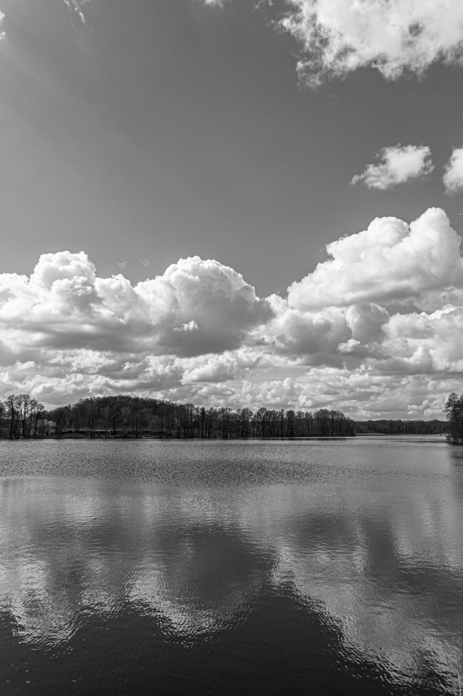 Sony SLT-A58 sample photo. Black and white, landscape photography