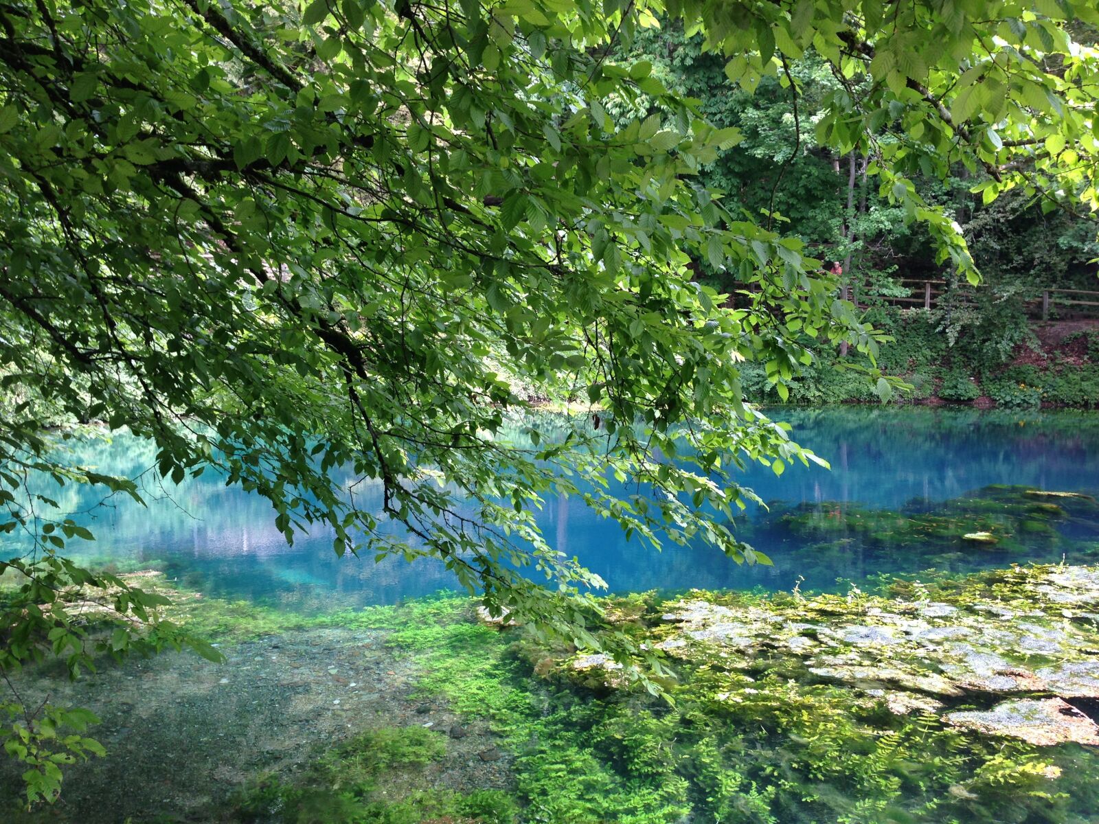 iPhone 5 back camera 4.12mm f/2.4 sample photo. Blautopf, blaubeuren, water photography