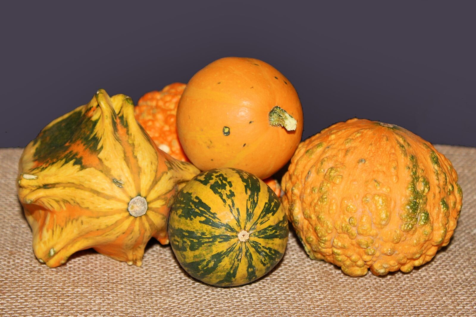 Canon EOS 600D (Rebel EOS T3i / EOS Kiss X5) sample photo. Pumpkins, decorative squashes, autumn photography