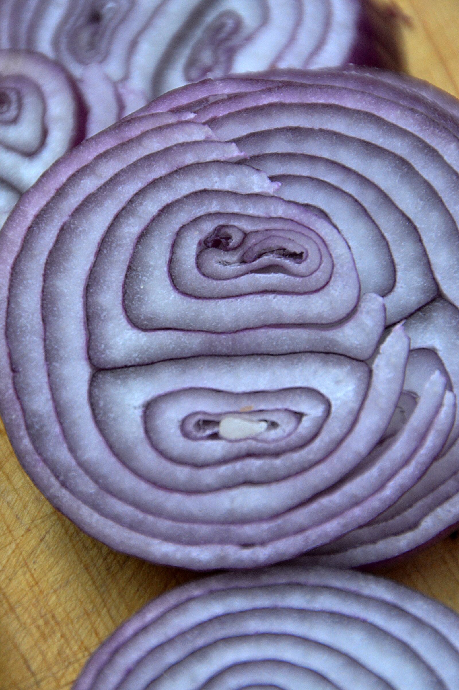 Nikon D3200 sample photo. Onion, purple, cooking photography