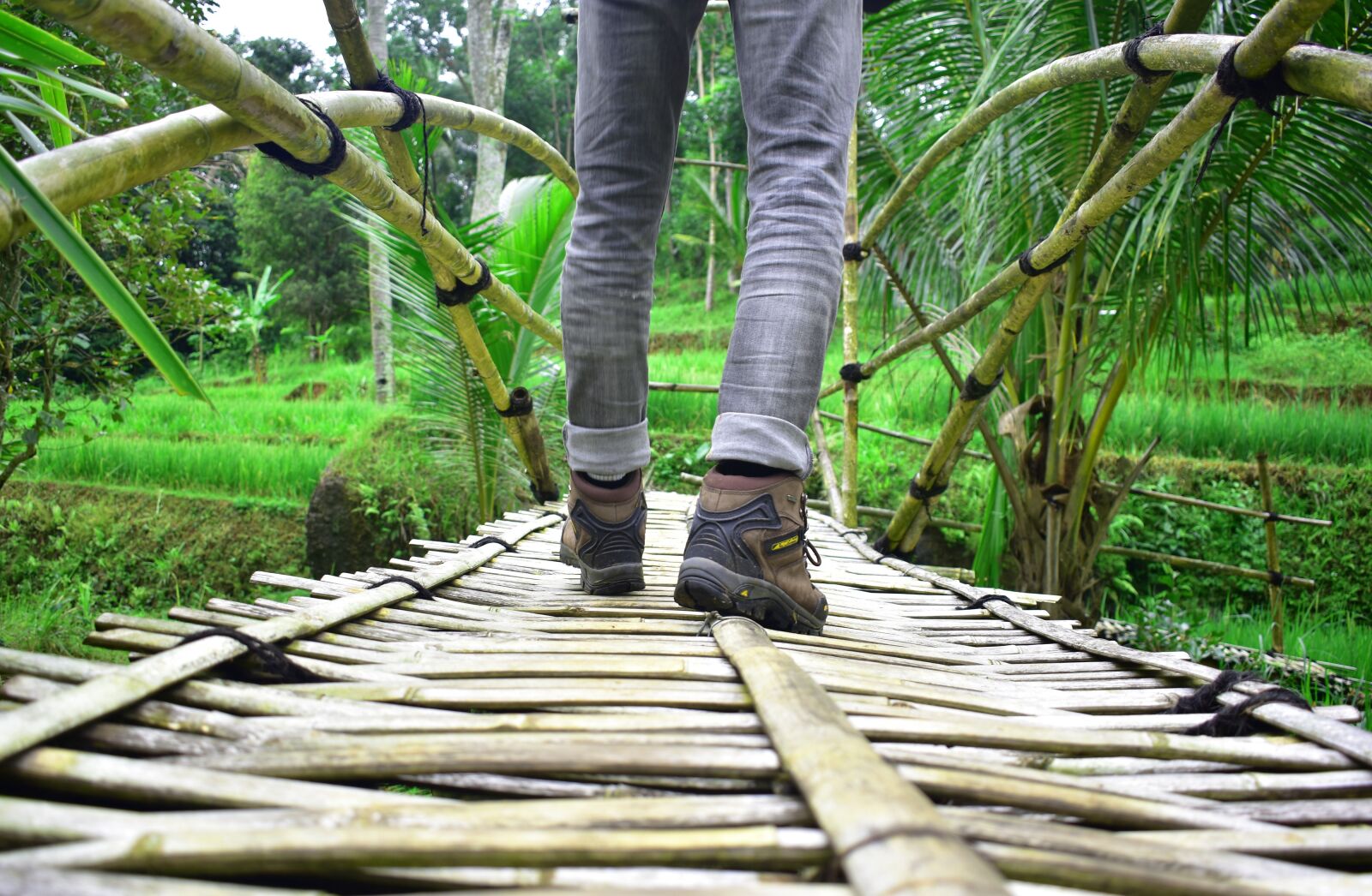 Nikon D3400 sample photo. Feet, walk, bamboo photography