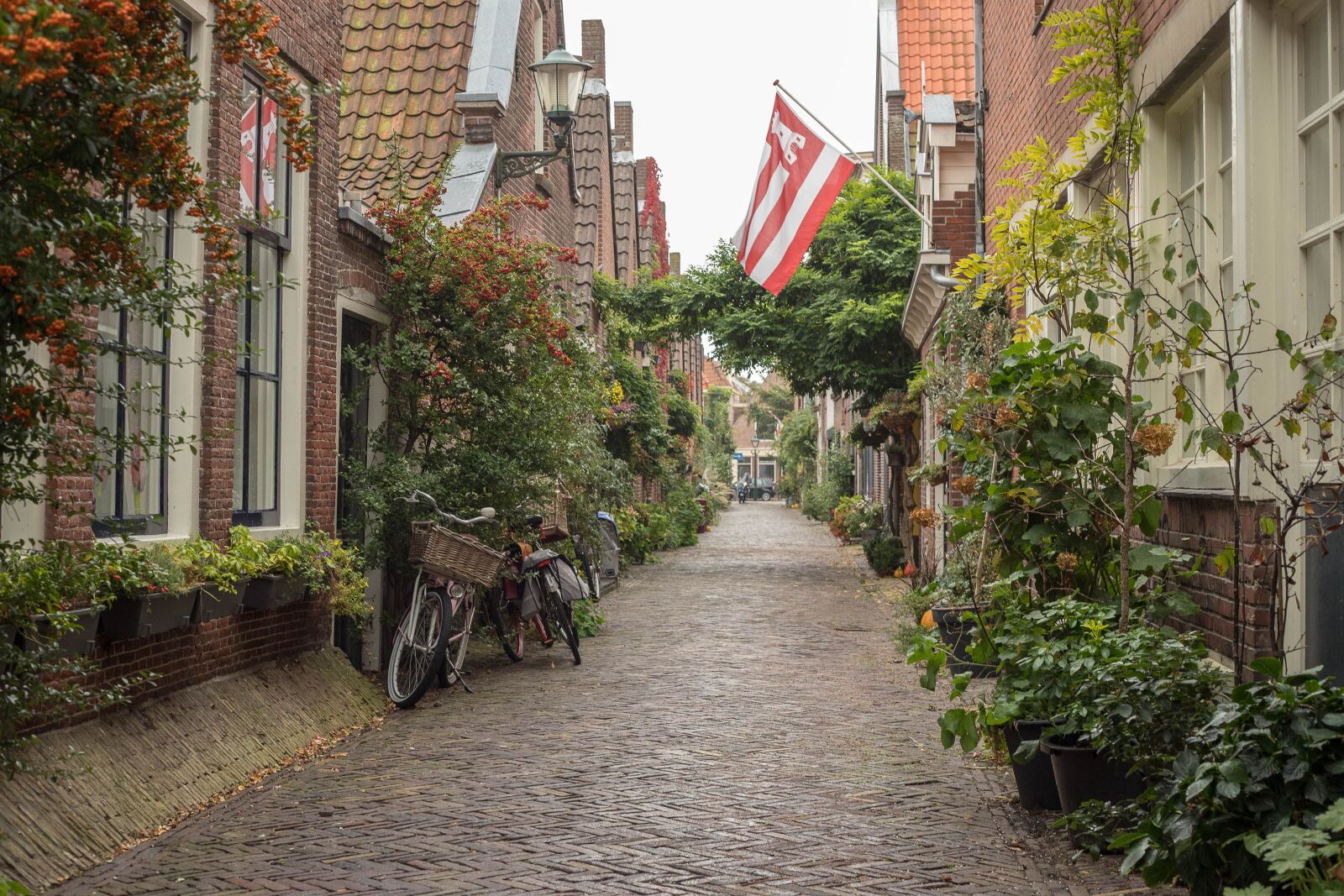 Canon EOS 6D Mark II sample photo. Street, street scene, cosy photography