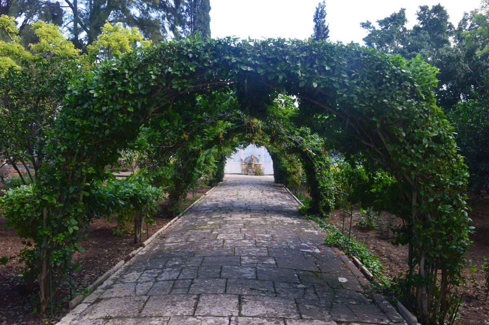 Nikon D3200 sample photo. Malta, garden, summer holiday photography