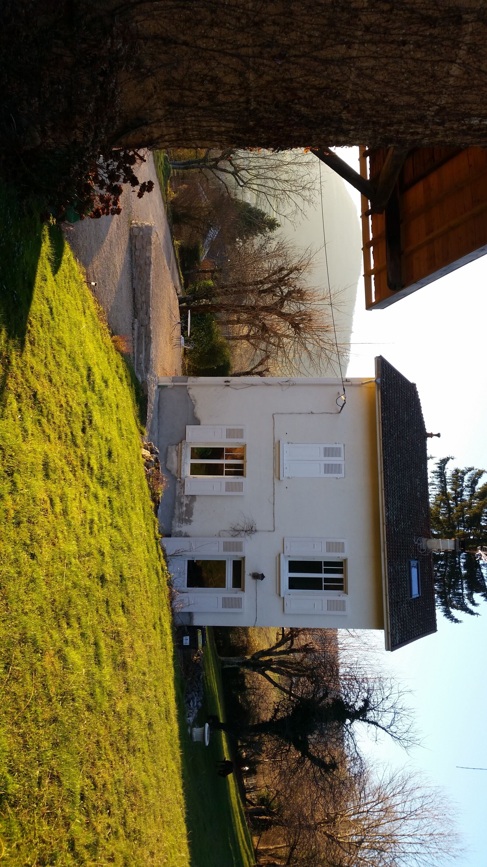 Samsung Galaxy S5 sample photo. Trees, and, built, structure photography