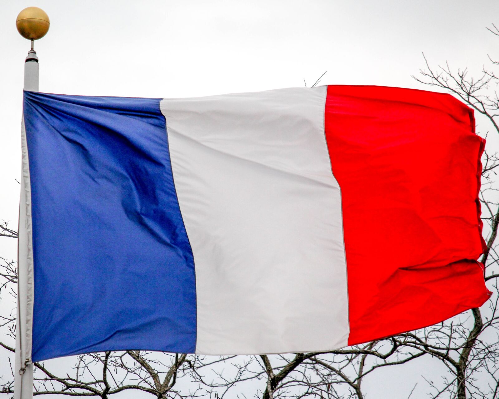 Canon EOS 700D (EOS Rebel T5i / EOS Kiss X7i) sample photo. Flag, patriotism, administration photography