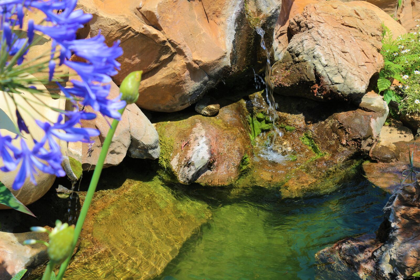 Canon EOS 100D (EOS Rebel SL1 / EOS Kiss X7) sample photo. Water, pond, garden photography