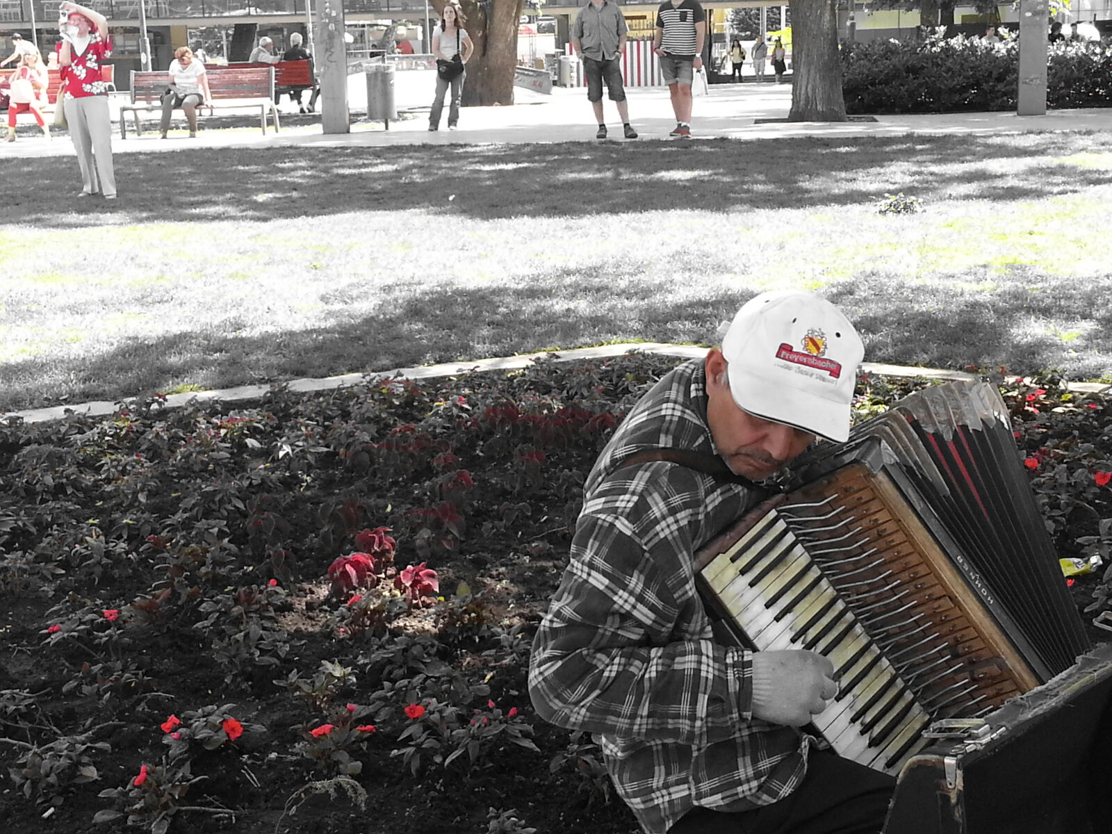 Samsung Galaxy S3 sample photo. Man, playing, wind, instrument photography