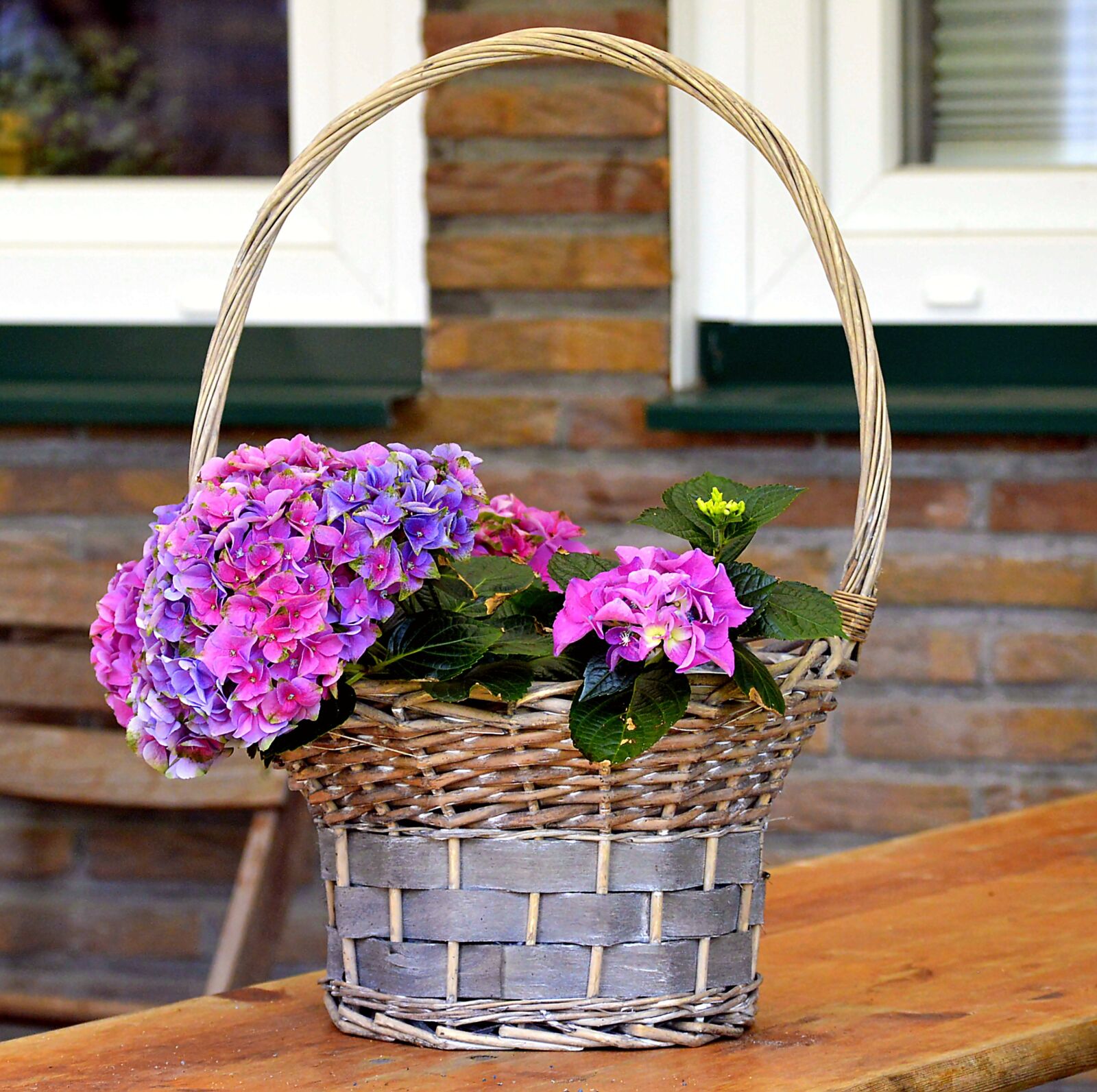 Nikon D3200 sample photo. Flower basket, basket, plant photography