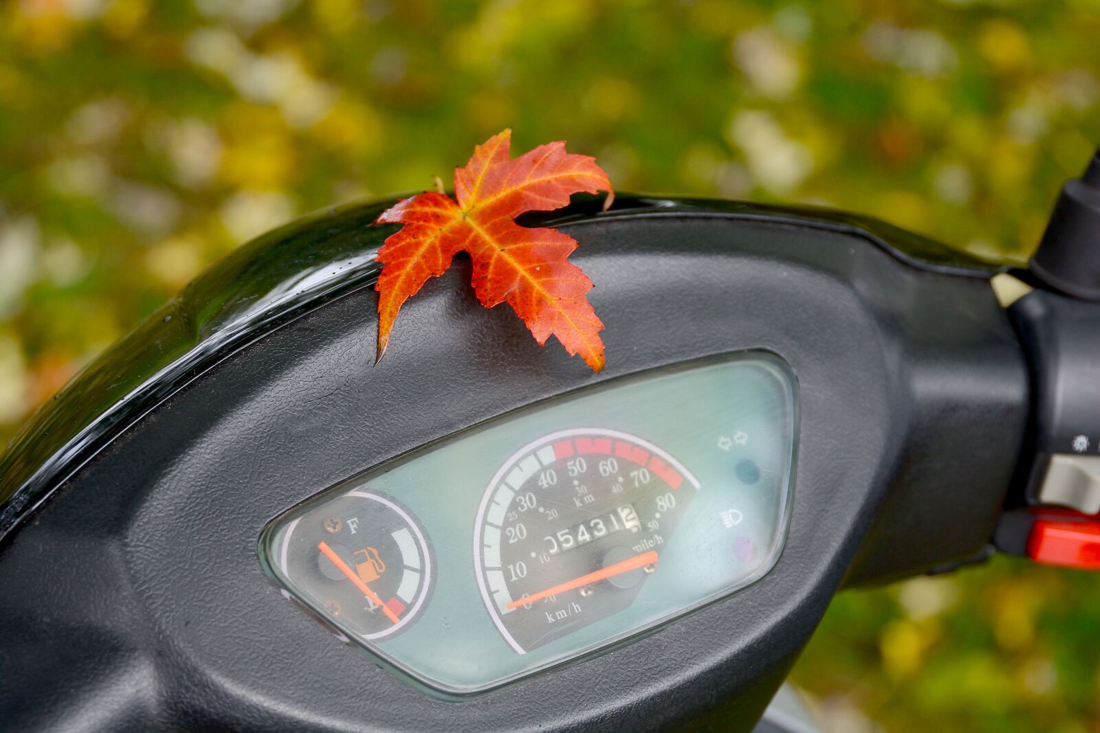 Nikon D7100 sample photo. Autumn, motor scooter, nature photography