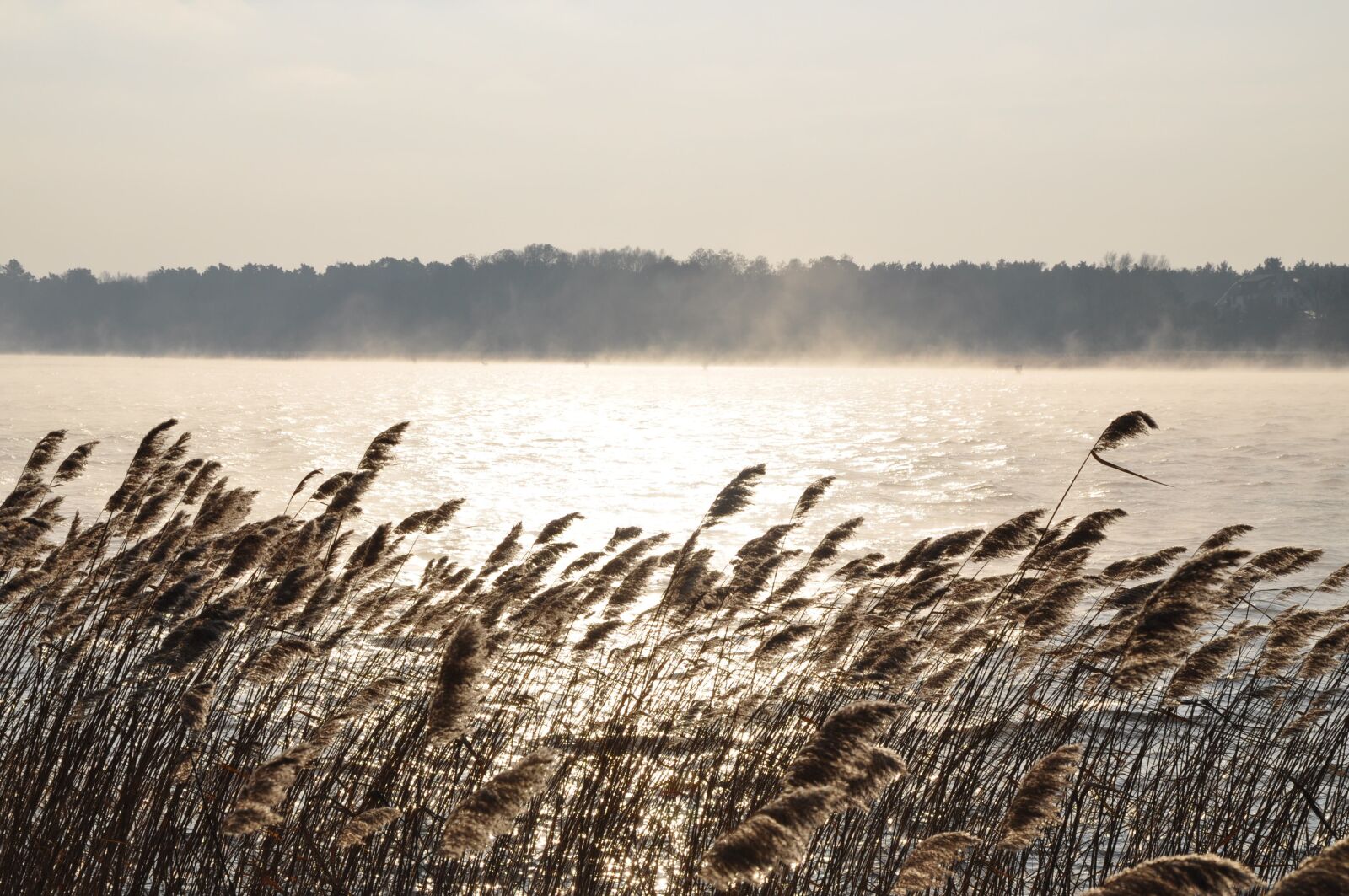 Nikon D5000 sample photo. Winter, lake, nature photography