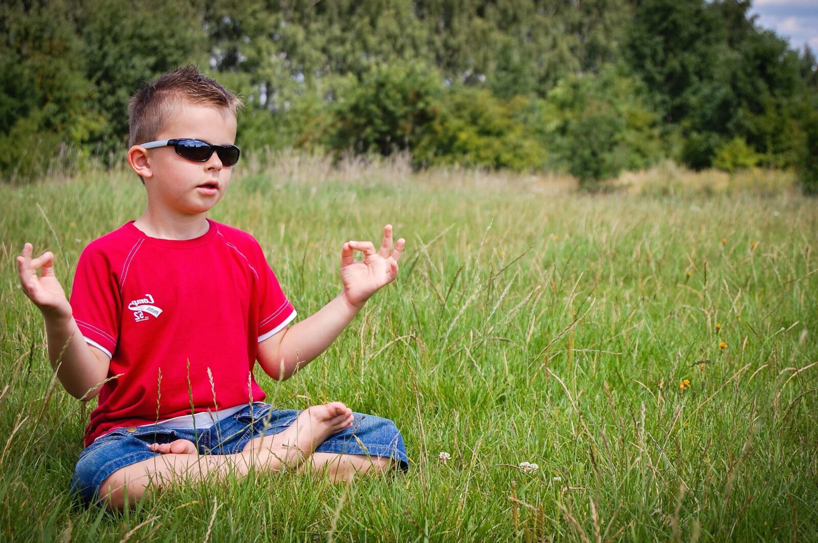 Nikon D40 sample photo. Child, boy, grass, meadow photography