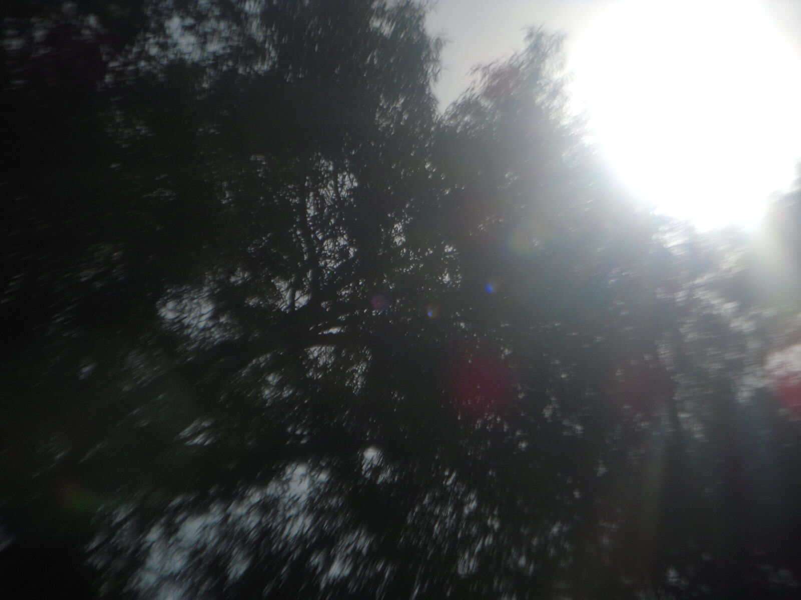 Nikon Coolpix S52 sample photo