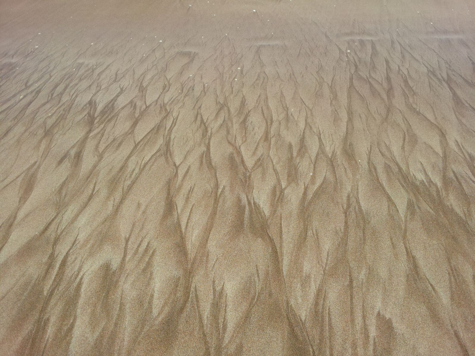 Samsung Galaxy S2 sample photo. Sand, image, beach photography
