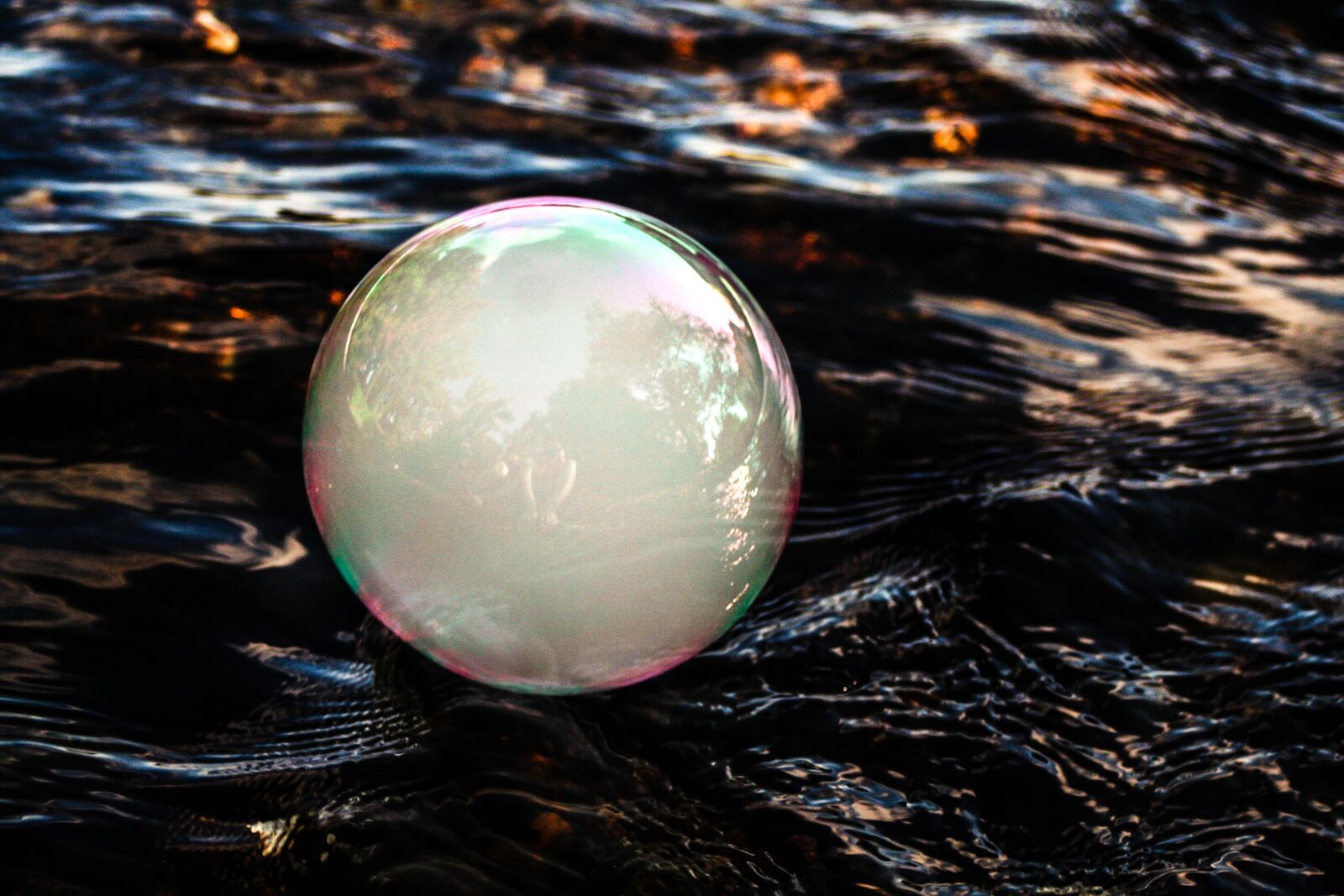 Canon EOS 350D (EOS Digital Rebel XT / EOS Kiss Digital N) sample photo. Bubble, reflection, colorful photography
