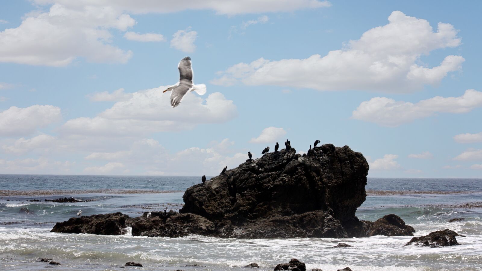 Canon EOS 450D (EOS Rebel XSi / EOS Kiss X2) sample photo. Beach, leo carillo, california photography