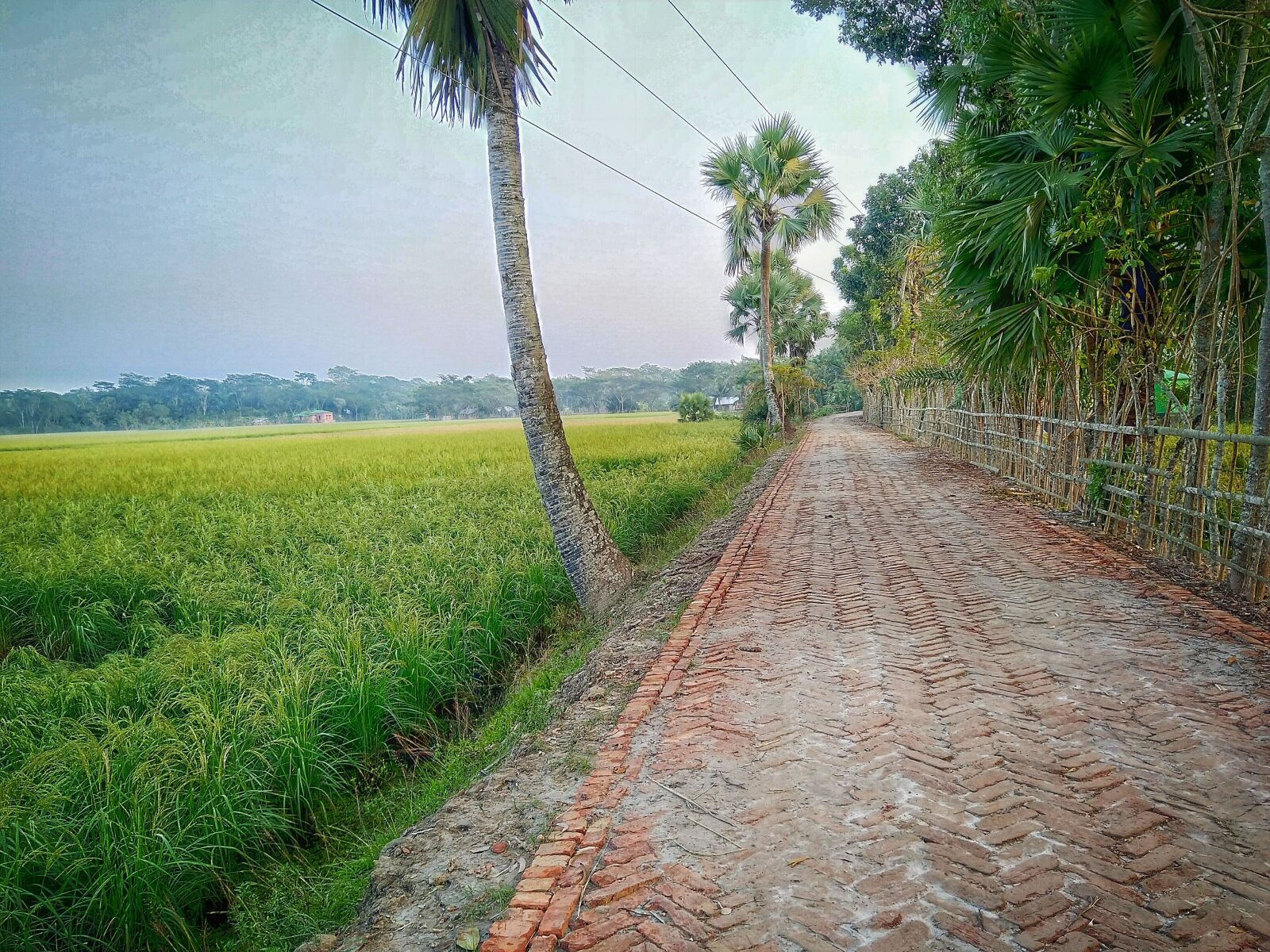 HMD Global Nokia 7 plus sample photo. Road, transport, nature photography