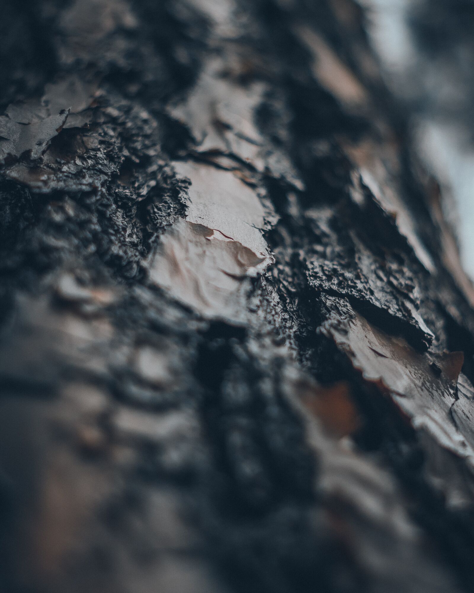 Nikon D7200 sample photo. Texture, blue, wood photography