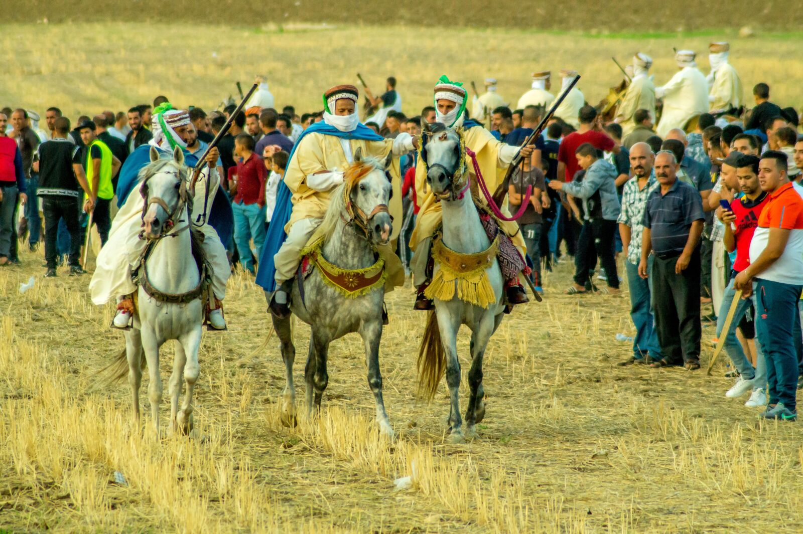 Sony SLT-A58 sample photo. Cavalry, celebrate, wedding photography