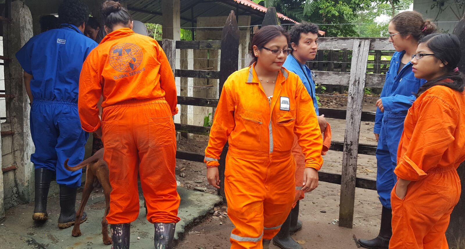 Samsung Galaxy S6 sample photo. Suit, workers, boss photography