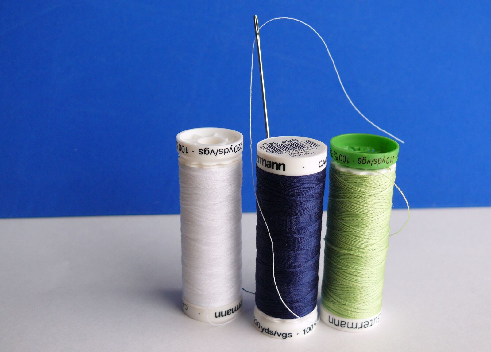 Leica V-LUX 1 sample photo. Needle, thread, sew photography