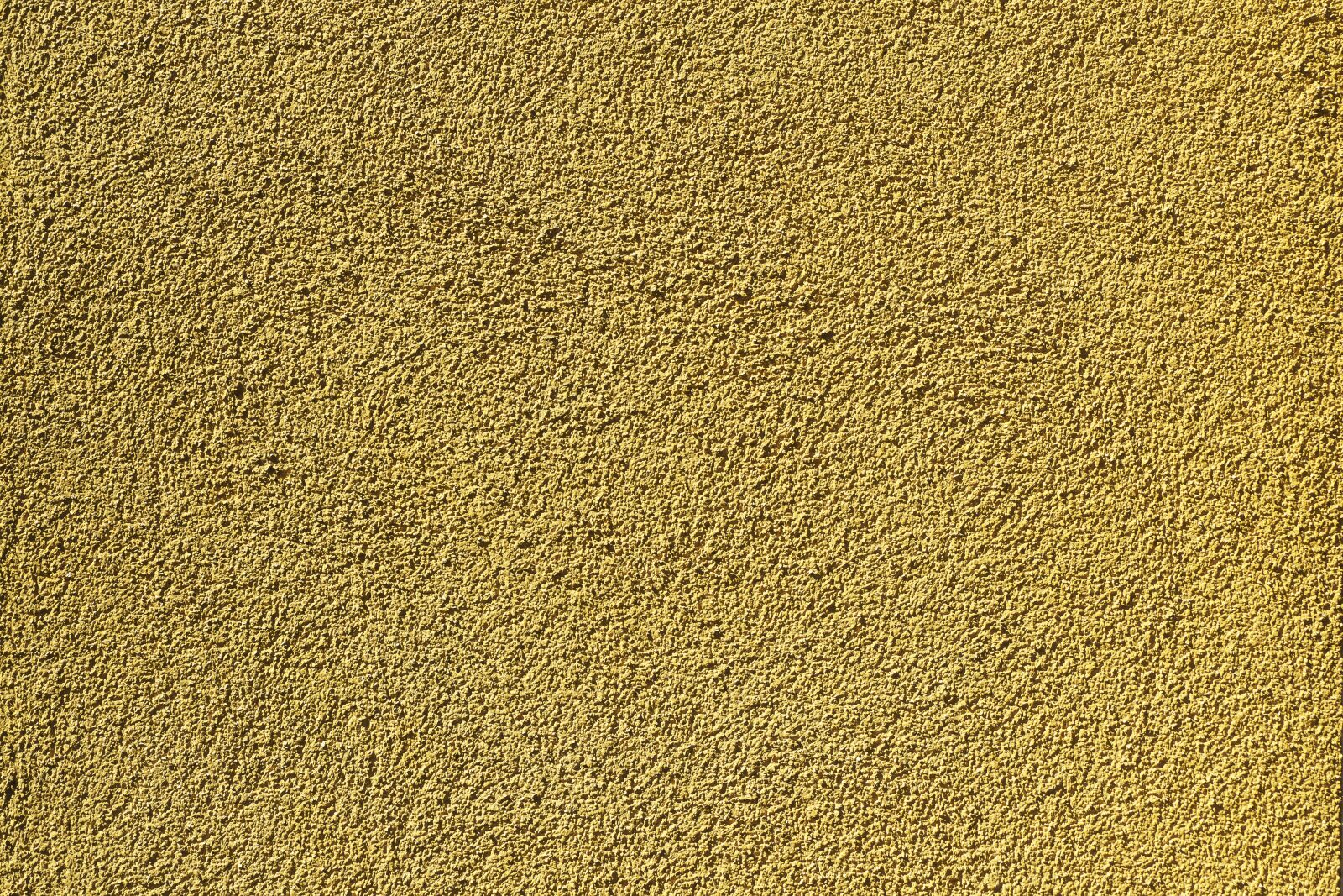 Panasonic Lumix DMC-FZ1000 sample photo. Plaster, facade, structural plaster photography