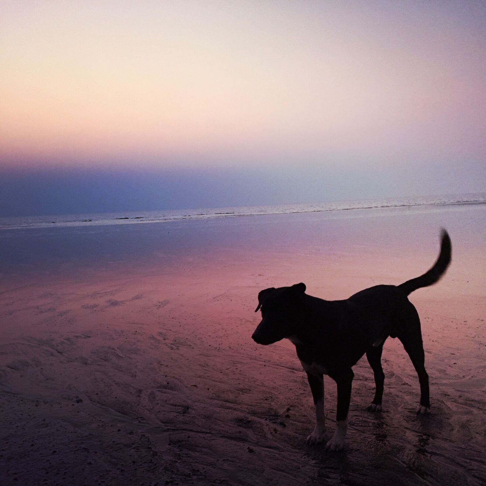 Apple iPhone 6 sample photo