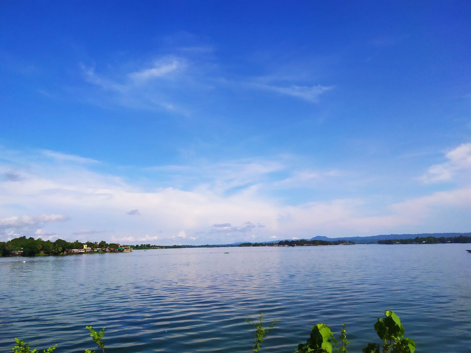 Xiaomi Redmi Note 7 sample photo. Beautiful, lake, tree photography