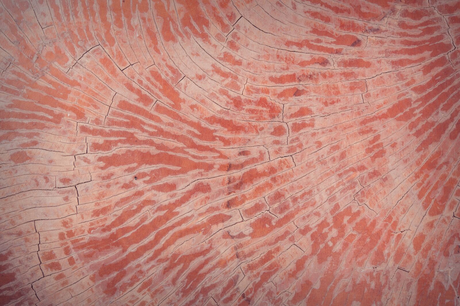 Nikon D700 sample photo. Abstract, antique, backdrop photography