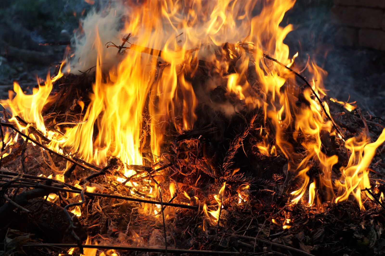 Sony SLT-A58 sample photo. Fire, bonfire, flames photography