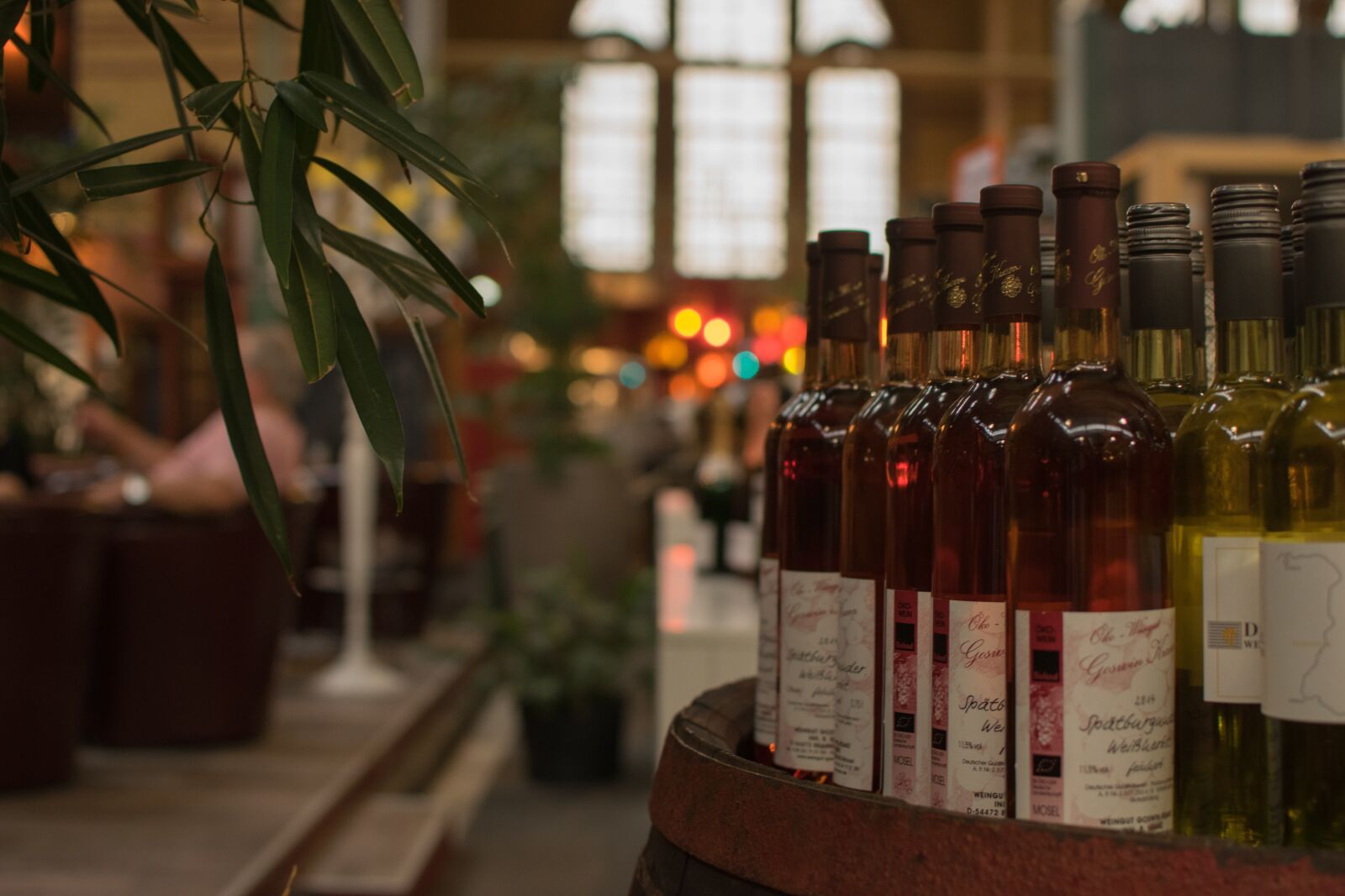 Nikon D5300 sample photo. Wine, bottles, plant photography