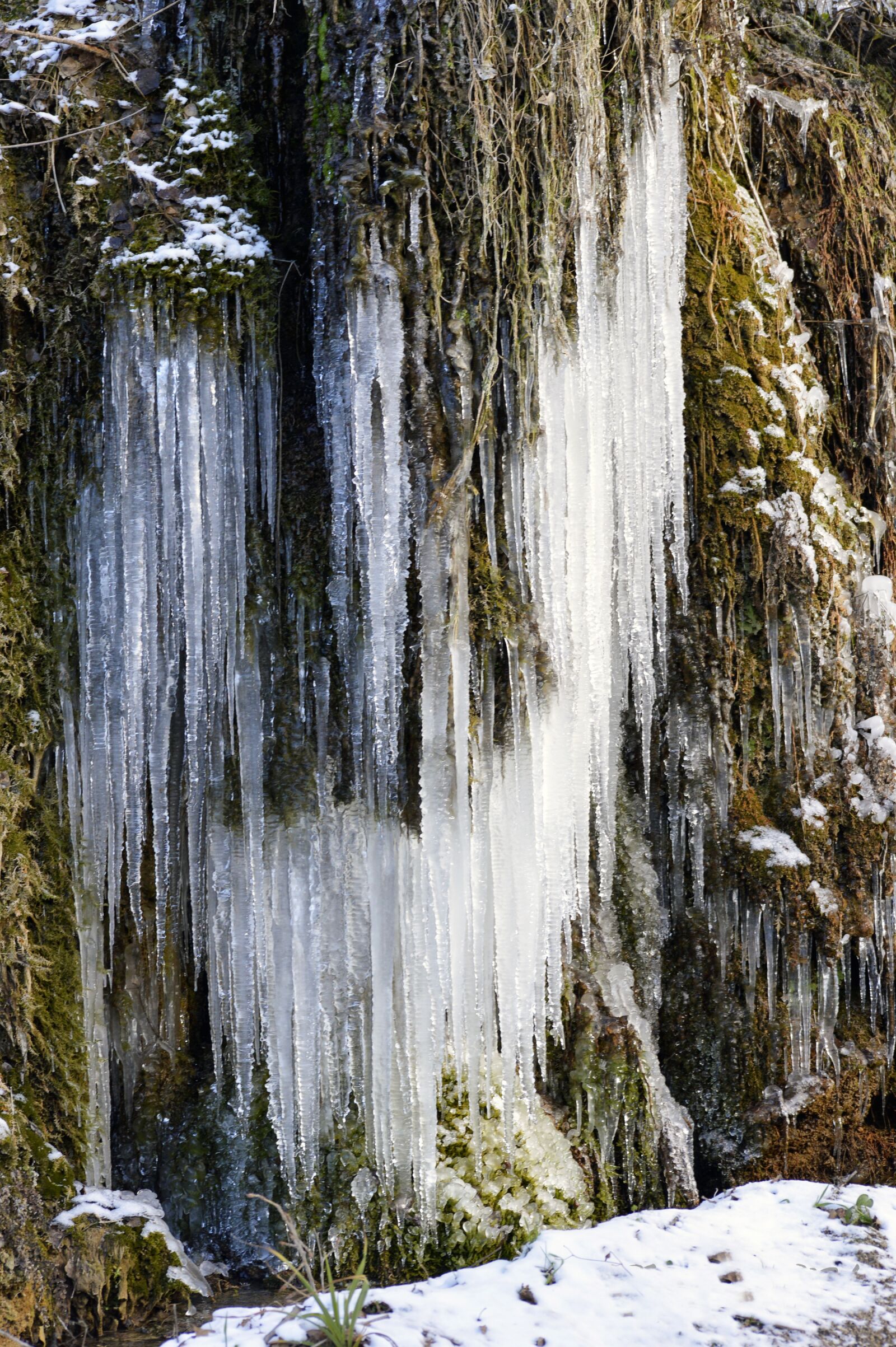 Nikon D3200 sample photo. Winter, snow, cold photography