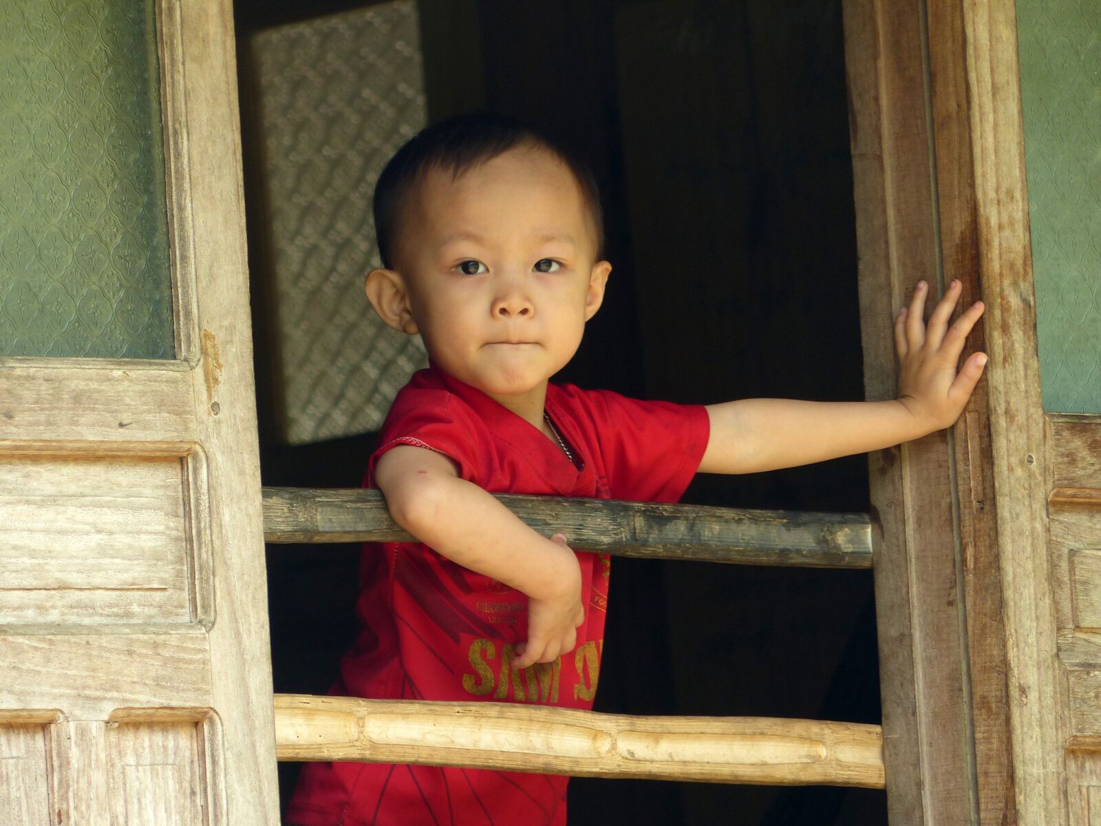 Panasonic Lumix DMC-FZ200 sample photo. Vietnam, boy, child photography