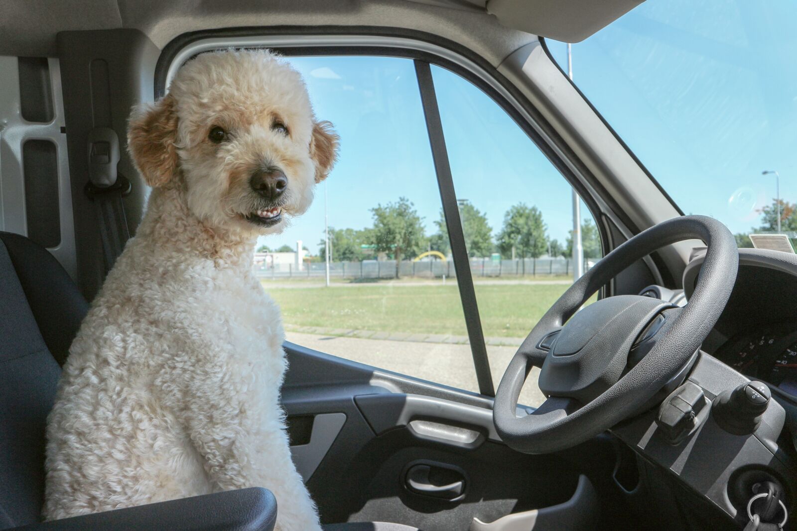 Canon EOS M10 sample photo. Dog, funny, pet photography