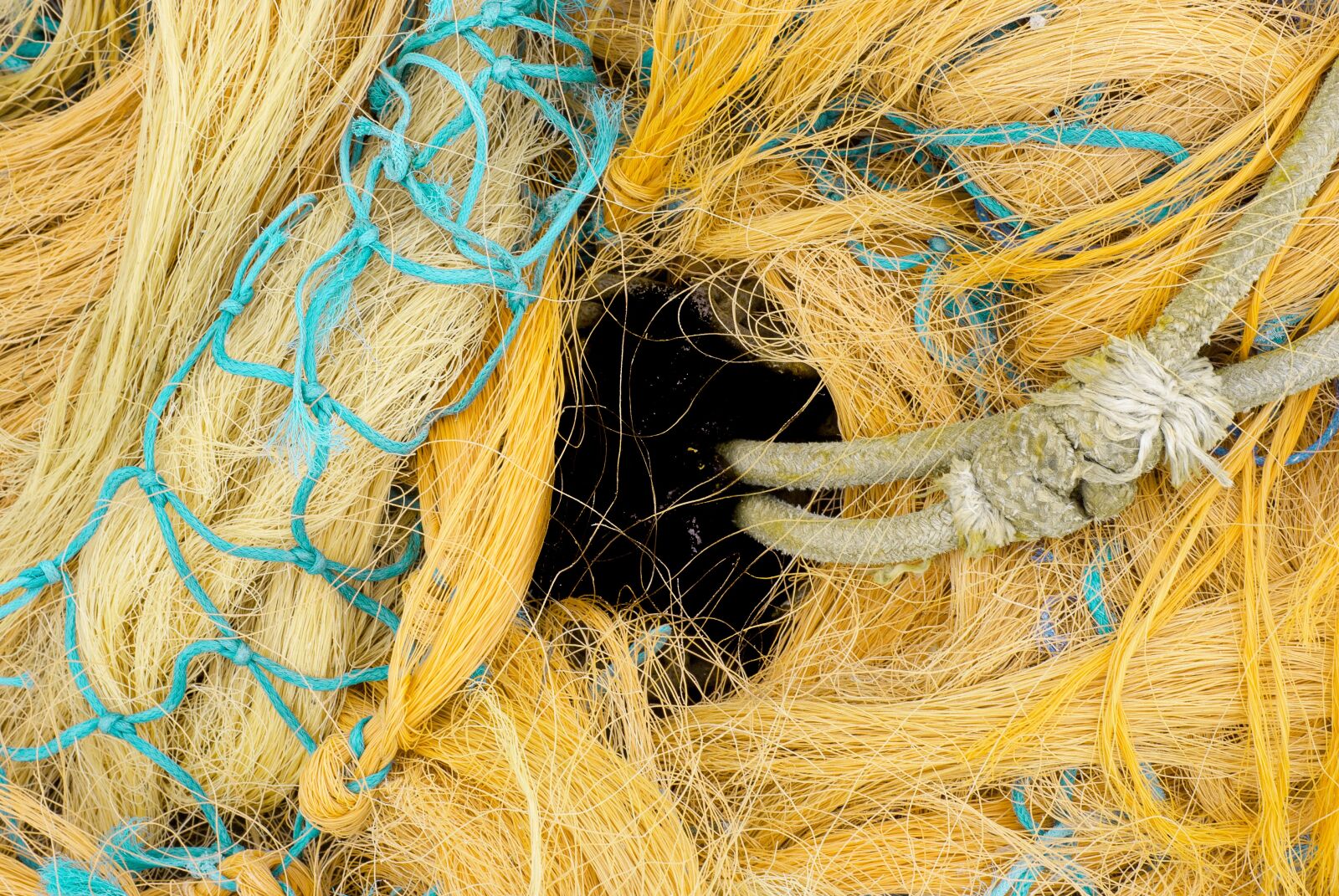 Nikon D80 sample photo. Net, fishing, rope photography