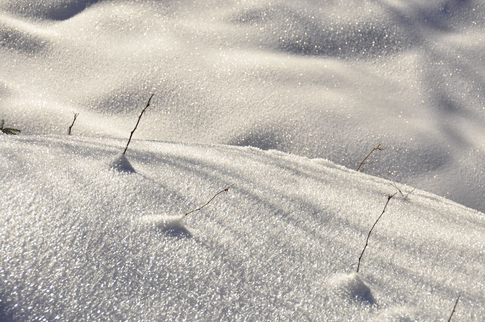 Nikon D90 sample photo. Winter, snow, biel photography