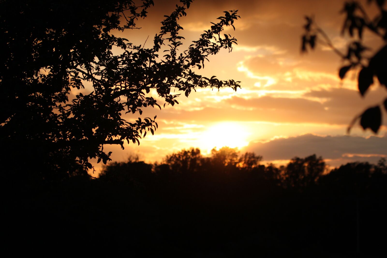 Canon EOS 500D (EOS Rebel T1i / EOS Kiss X3) sample photo. Sunset, night crane, sky photography