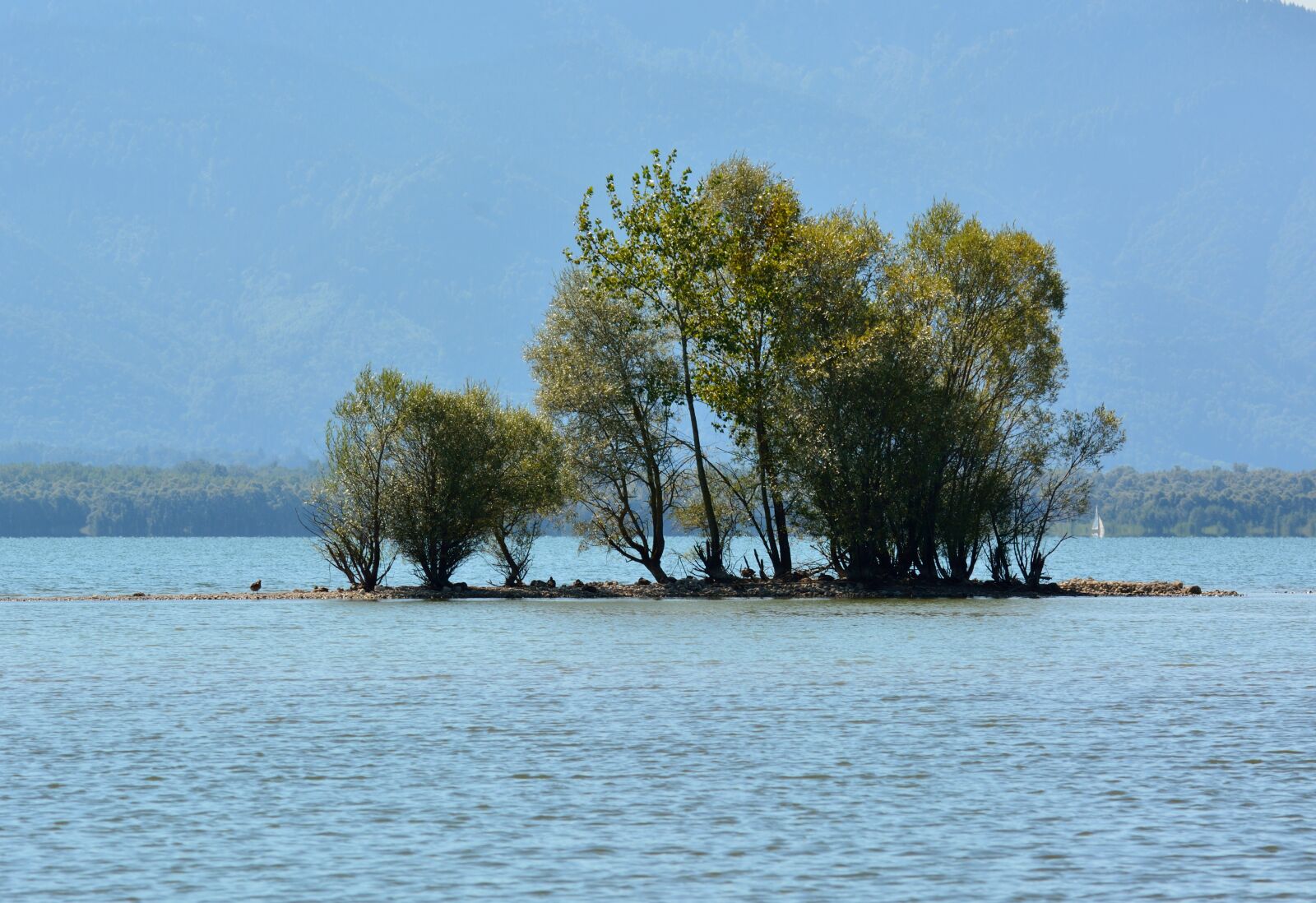 Nikon D7100 sample photo. Island, bushes, grove of photography