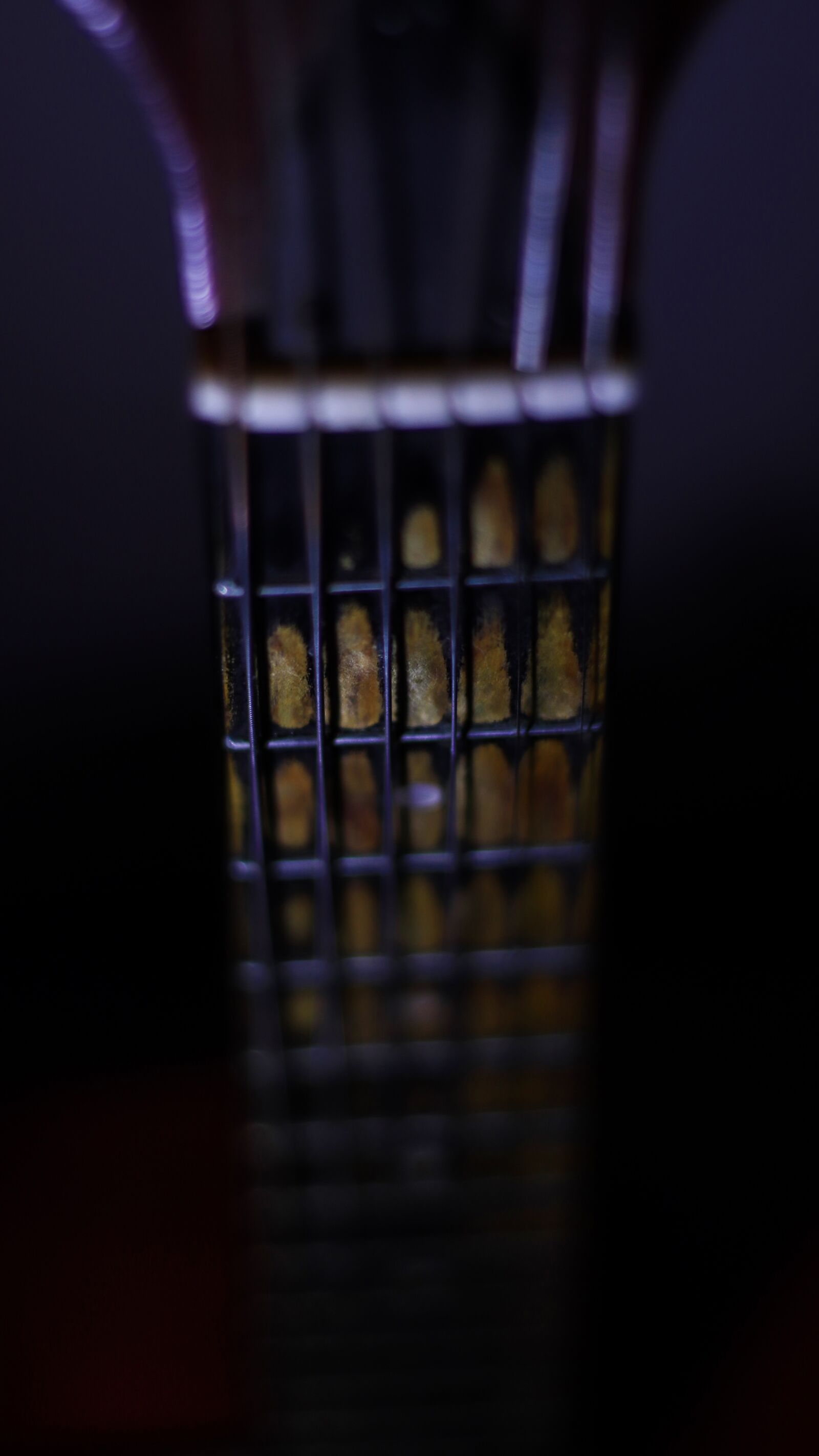 YN50mm f/1.8 II sample photo. Cuerdas, guitarra, vertical photography