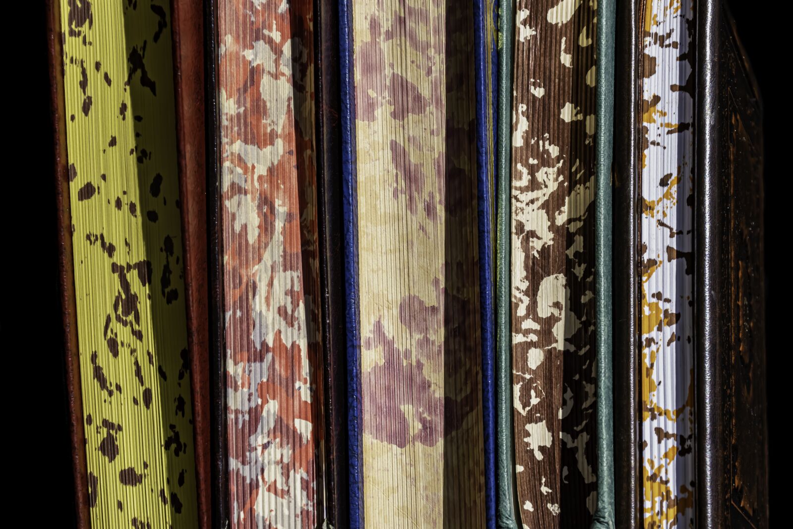 Nikon D5600 sample photo. Books, book day, paper photography