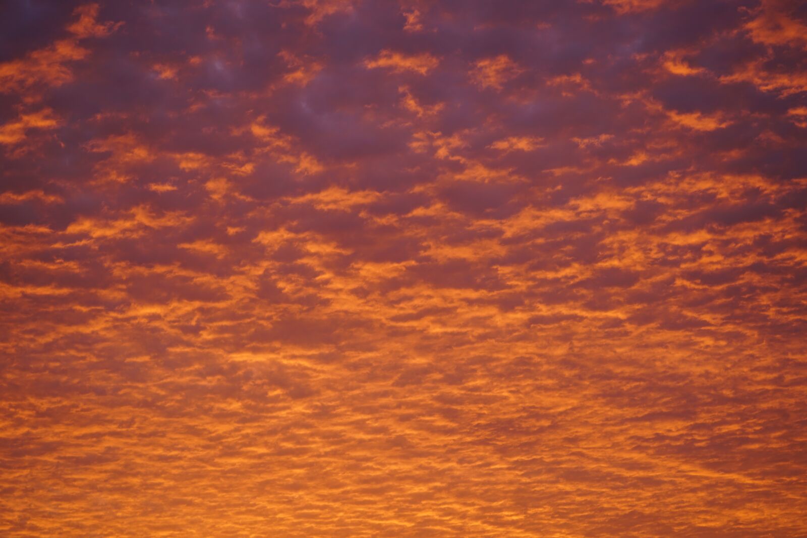 Sony FE 90mm F2.8 Macro G OSS sample photo. Cloudscape, clouds, sky photography
