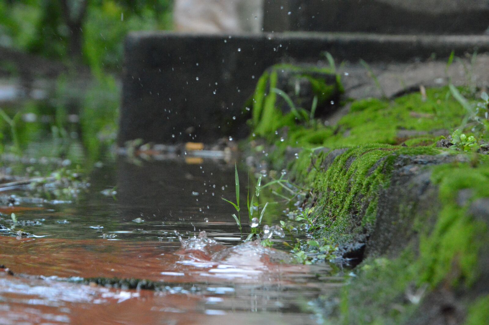 Nikon D3200 sample photo. Rain, vietnam, natural photography