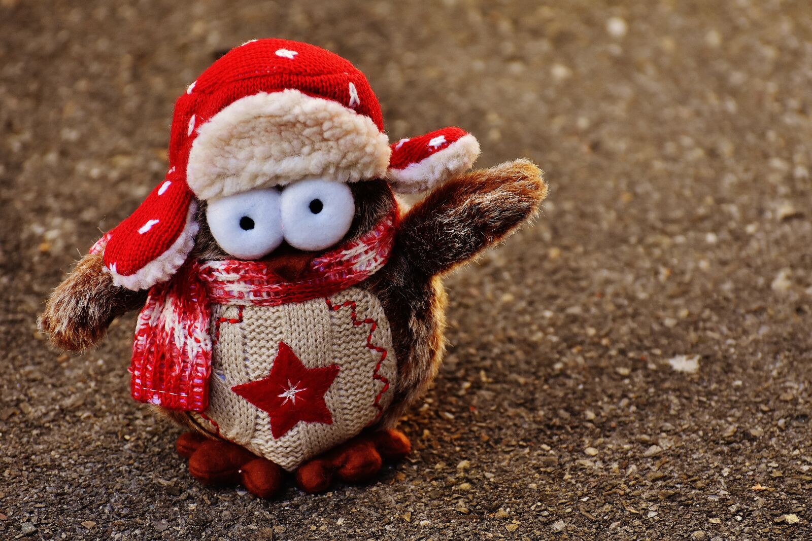 Nikon D7200 sample photo. Owl, plush, winter photography