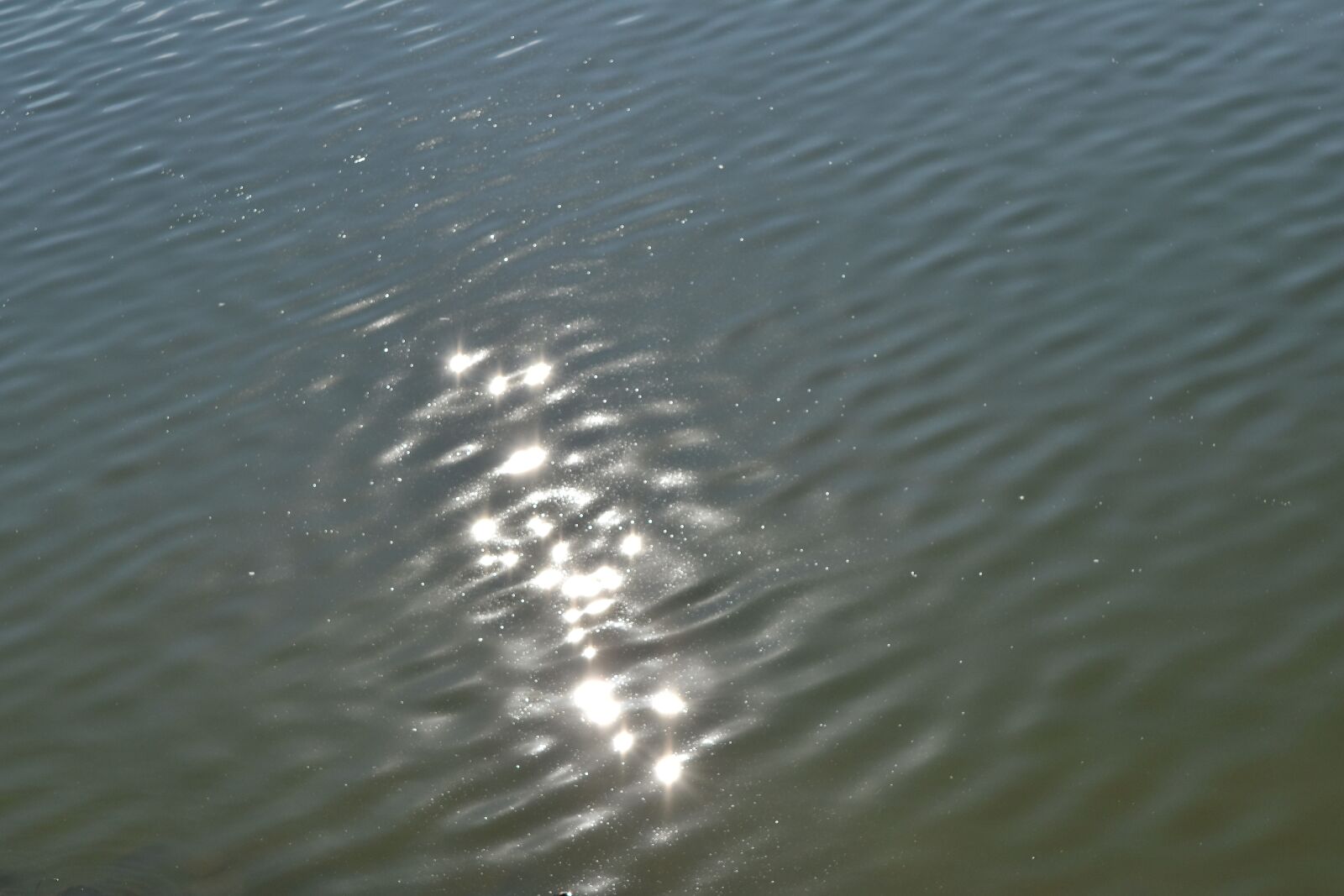 Nikon D5500 sample photo. Reflection, water level, waterway photography