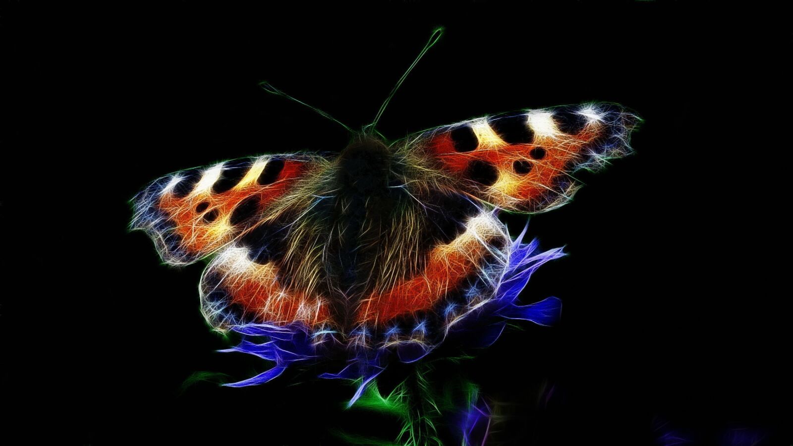 Canon PowerShot G15 sample photo. Fractalius, little fox, nature photography