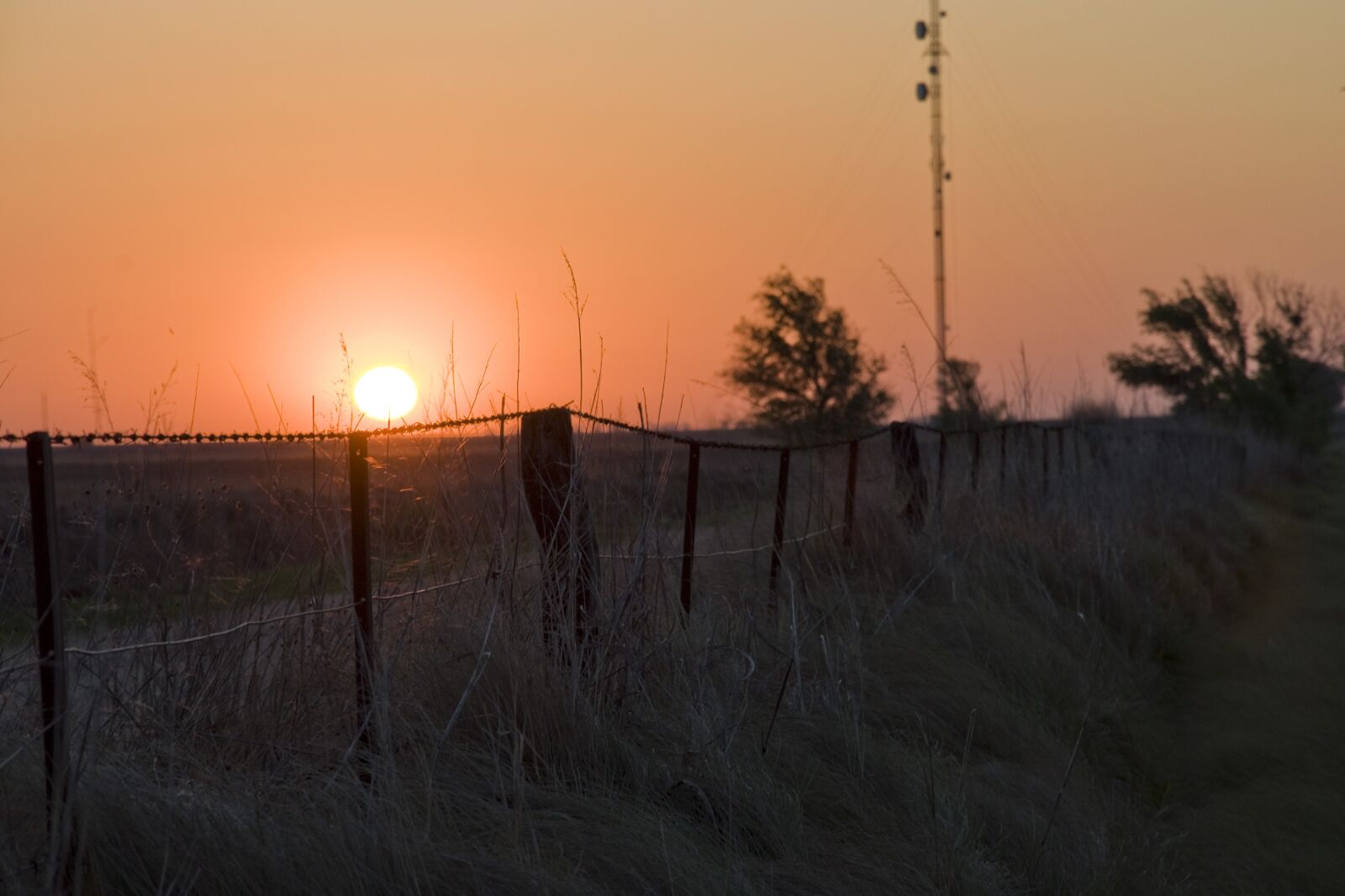 Nikon D90 sample photo. Sunset, field, nature photography